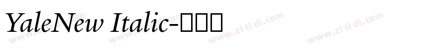 YaleNew Italic字体转换